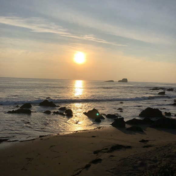 Meet your Posher, Gabby - Picture 4 of 8